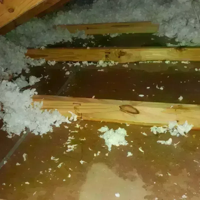 Best Attic Water Damage Service in Gallatin County, IL