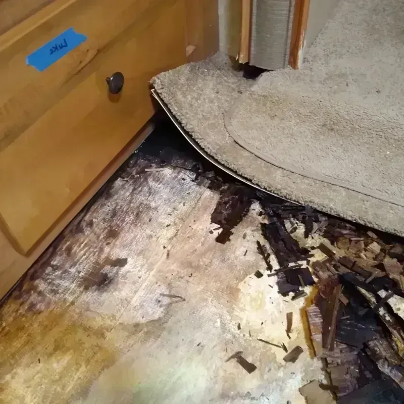 Wood Floor Water Damage in Gallatin County, IL